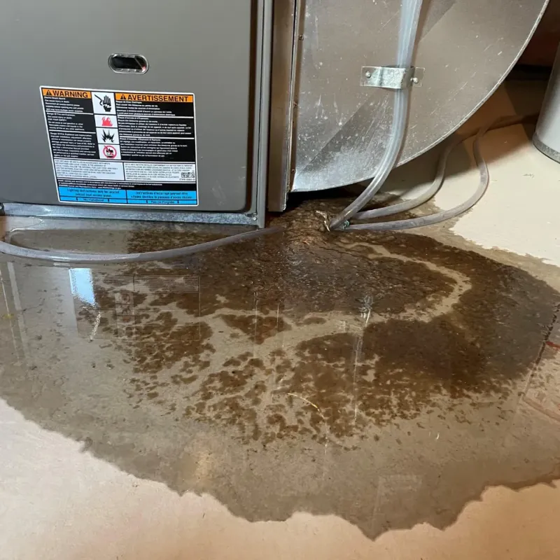 Appliance Leak Cleanup in Ridgefield, NJ